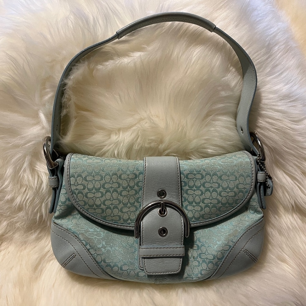 Small coach purse
